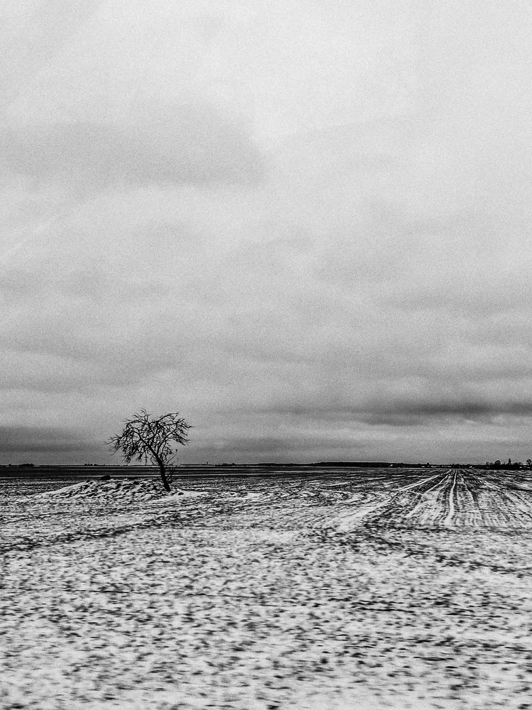 Photograph by Екатерина Савеня