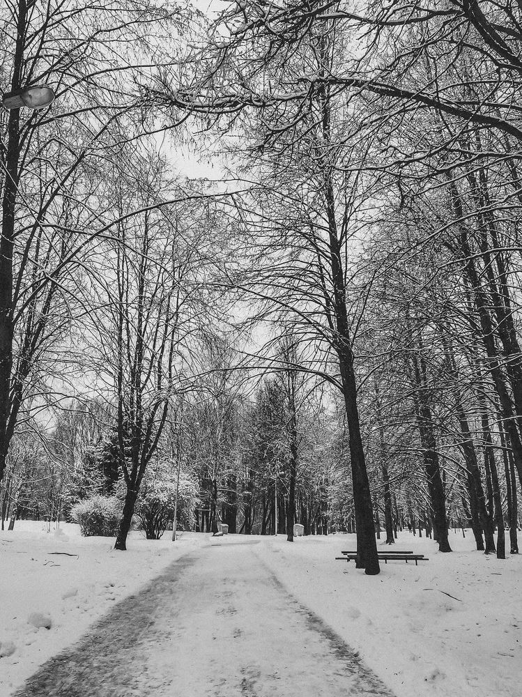 Photograph by Екатерина Савеня