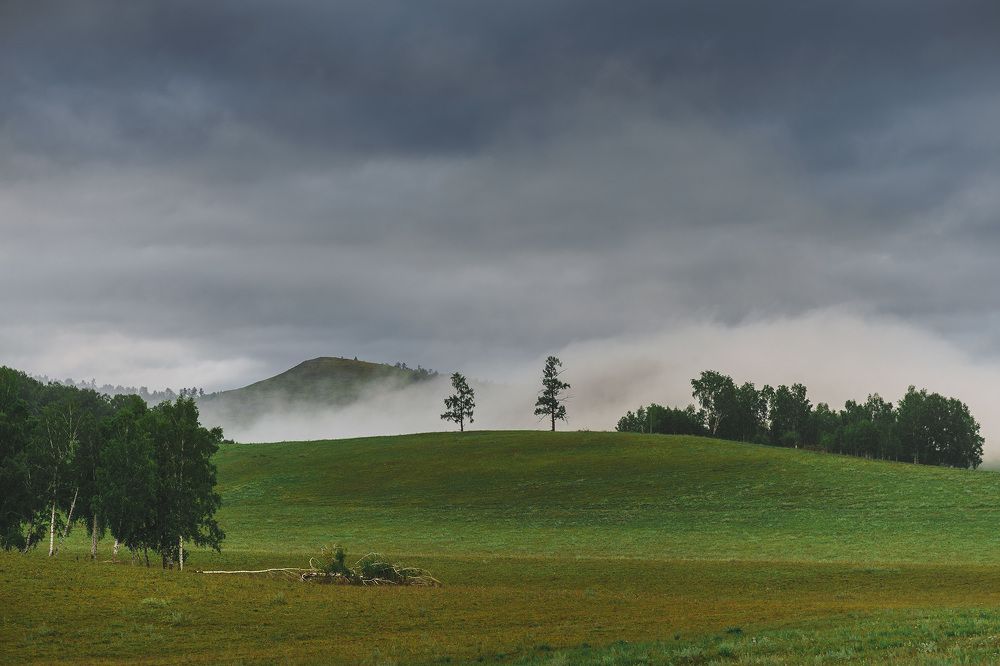 Фотография автора Julia Gorbacheva