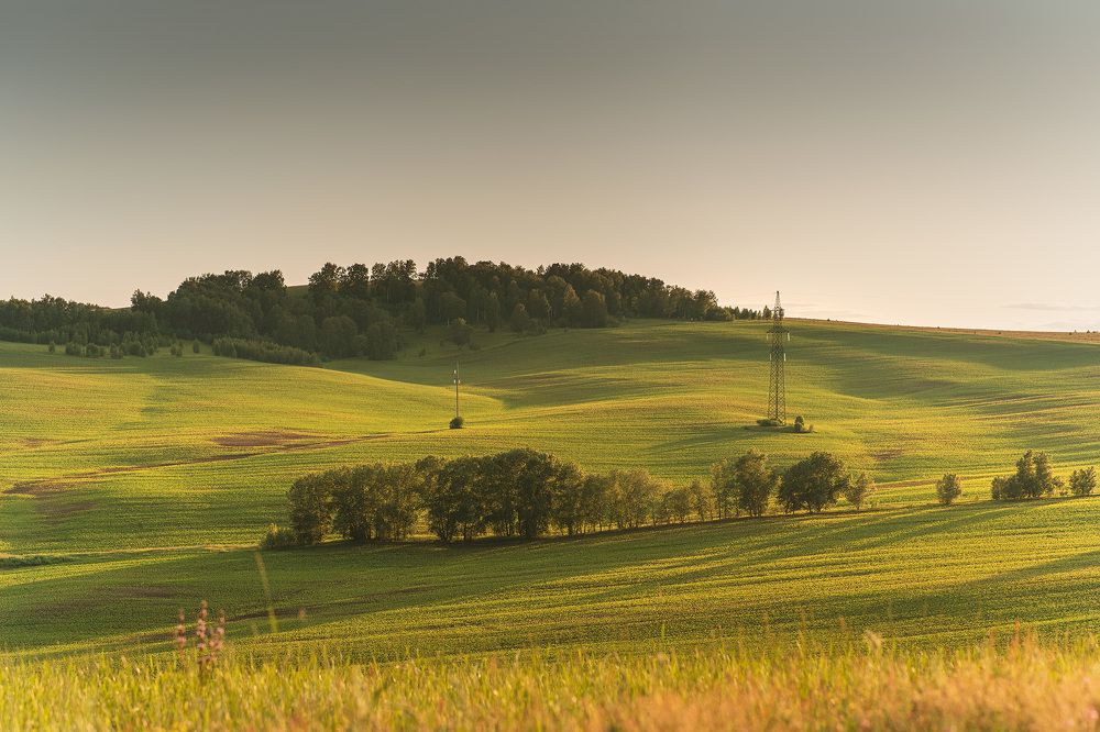 Фотография автора Julia Gorbacheva