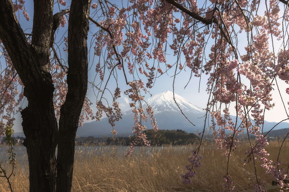 Photograph by Ma. Cavizo