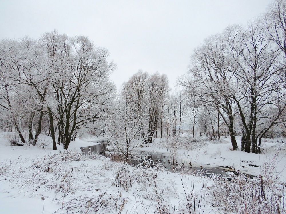 Зимой у городской речки
