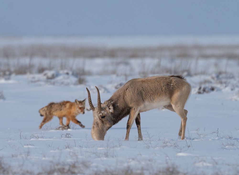 Photograph by Владимир Цветов