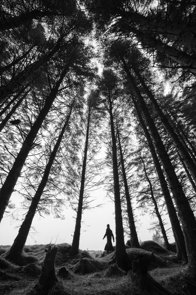 Photograph by Petrov Ivaylo