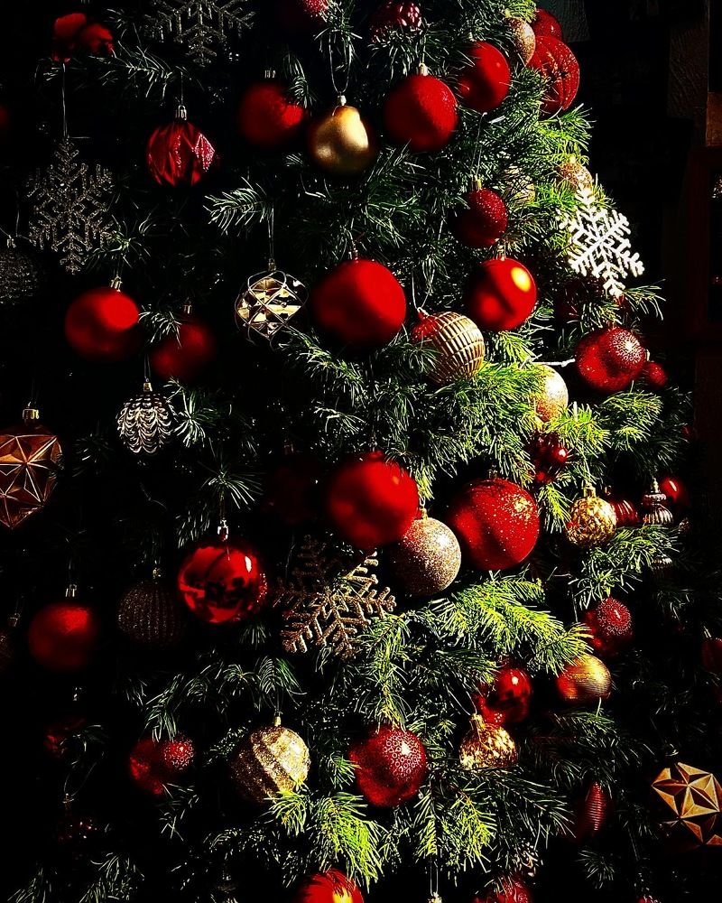 Photograph by Mateo Arellano