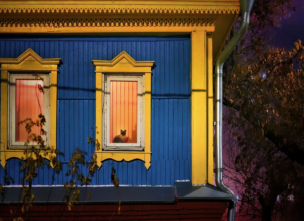 Фотография автора Наталья Новикова