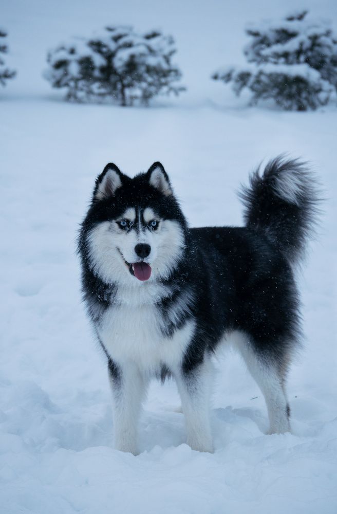 Photograph by Наталья Зверева