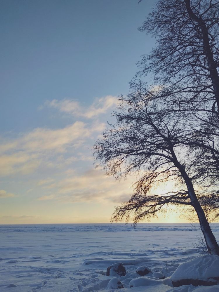 Photo #10097574