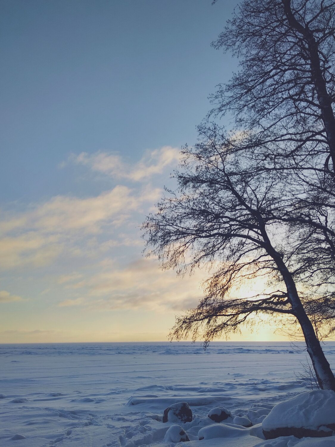 Photo #10097574