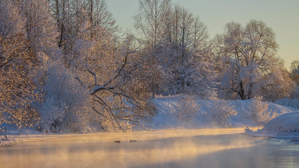 Фотография автора Александр Довганюк