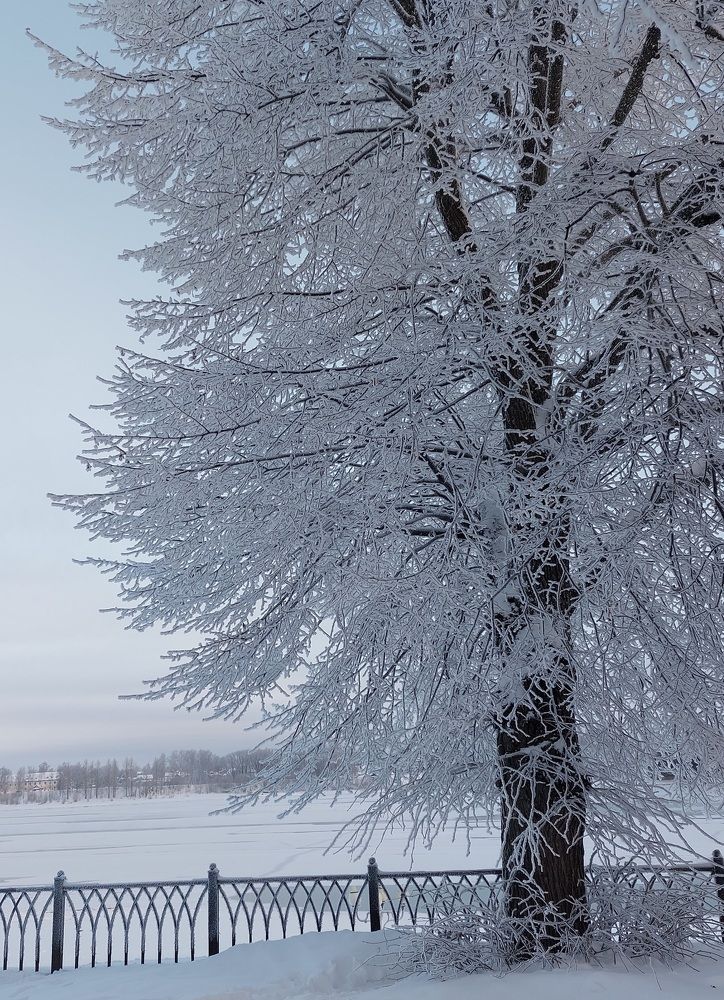 Photograph by Галина Маркова