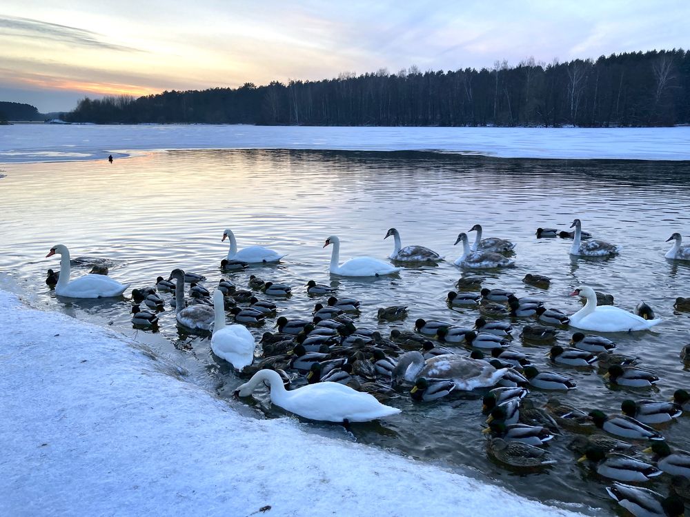 Вечер перед кочевьем