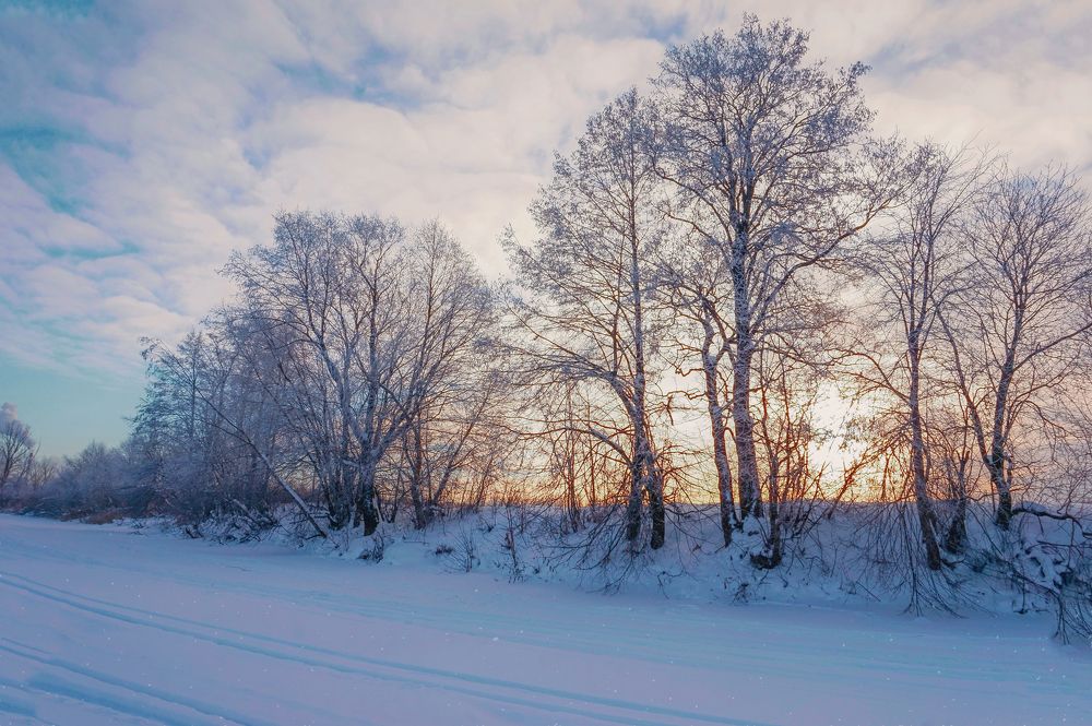 Photograph by Светлана Иванова