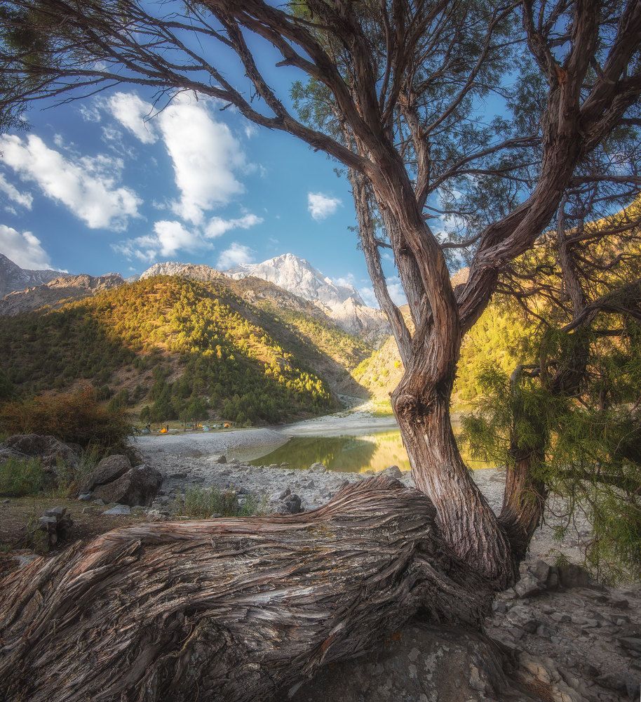 Photograph by Кахарова Наргиза