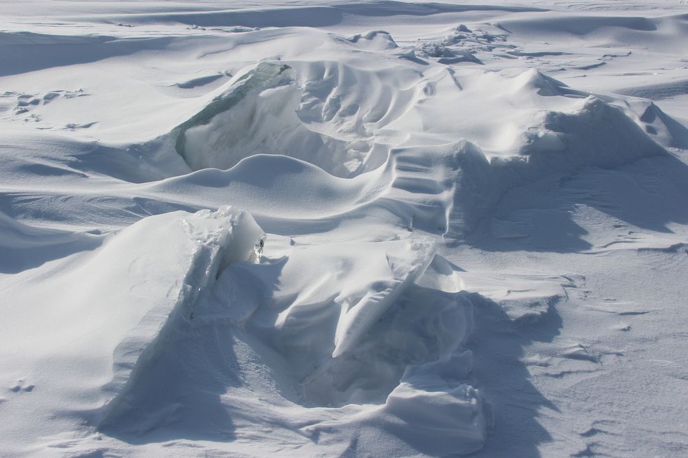 Photograph by Татьяна Шелудяк