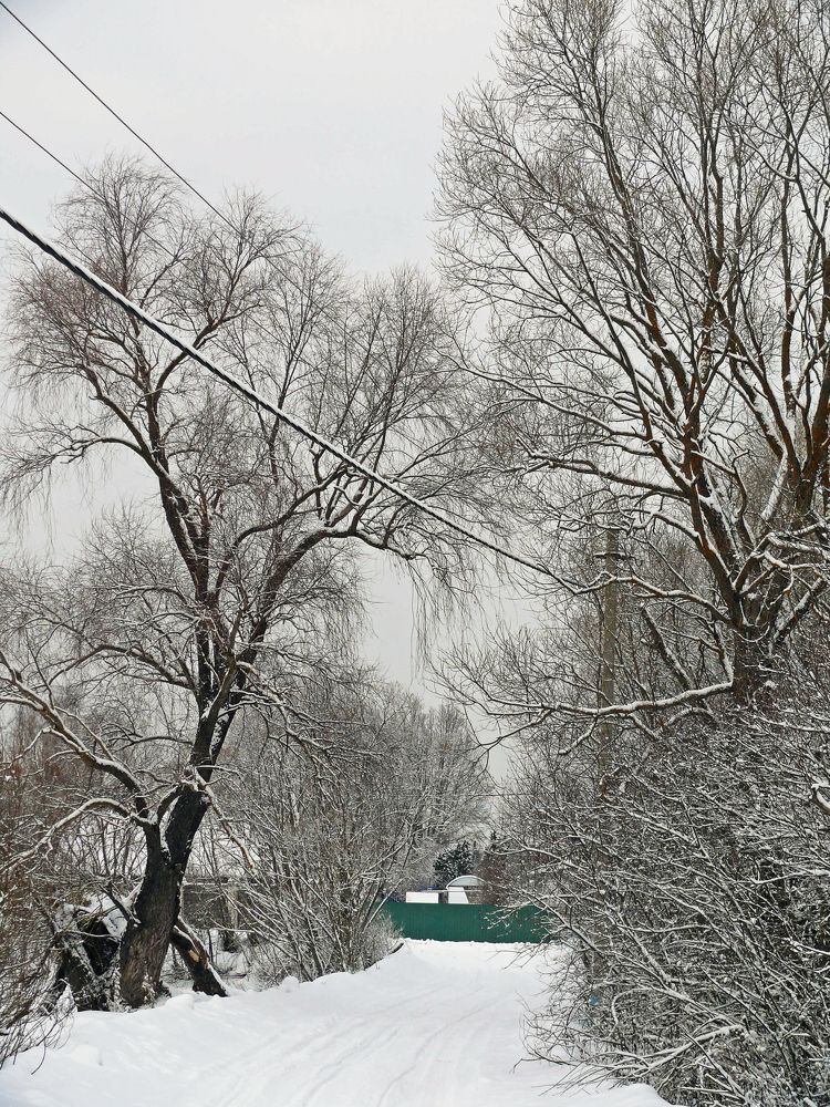 Photograph by Василий