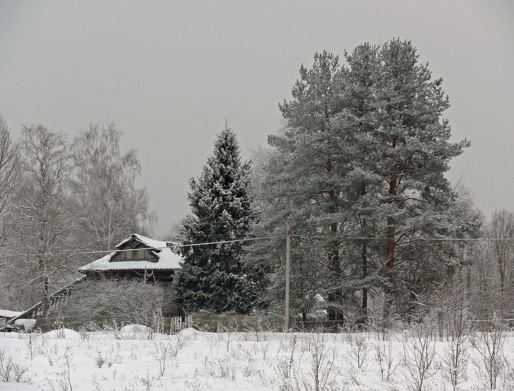Photograph by Василий