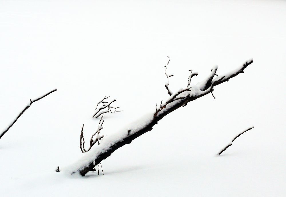 Photograph by Василий