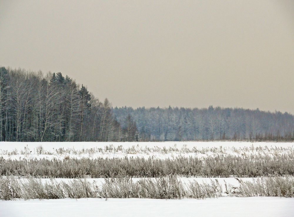 Photograph by Василий