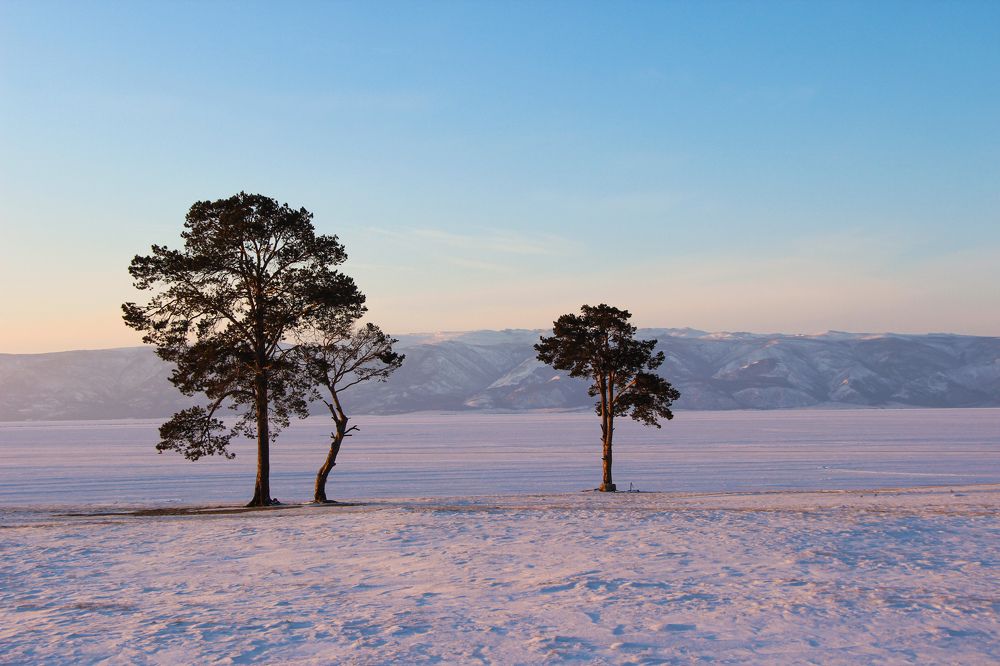 Photograph by Татьяна Шелудяк