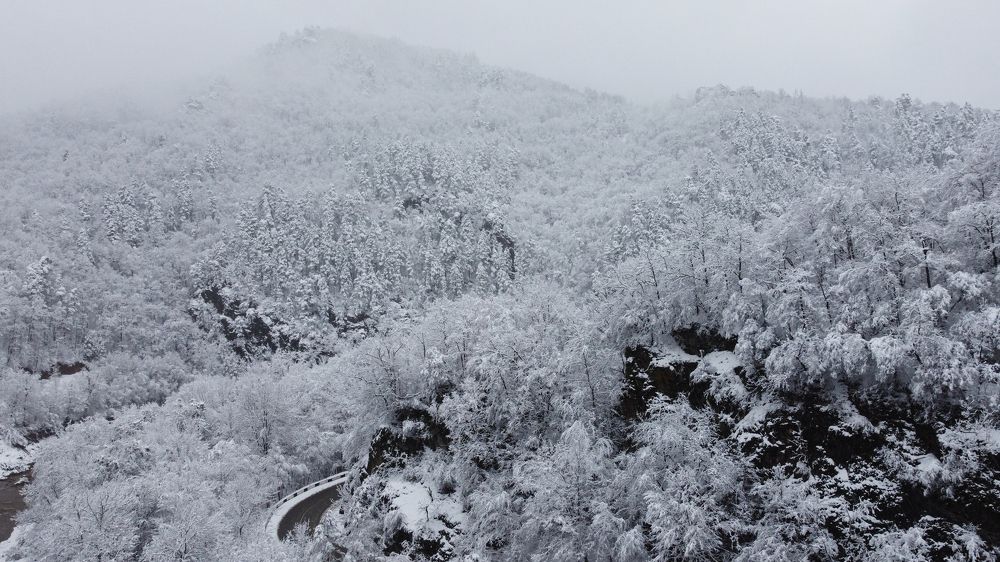 Photograph by Татьяна Шелудяк