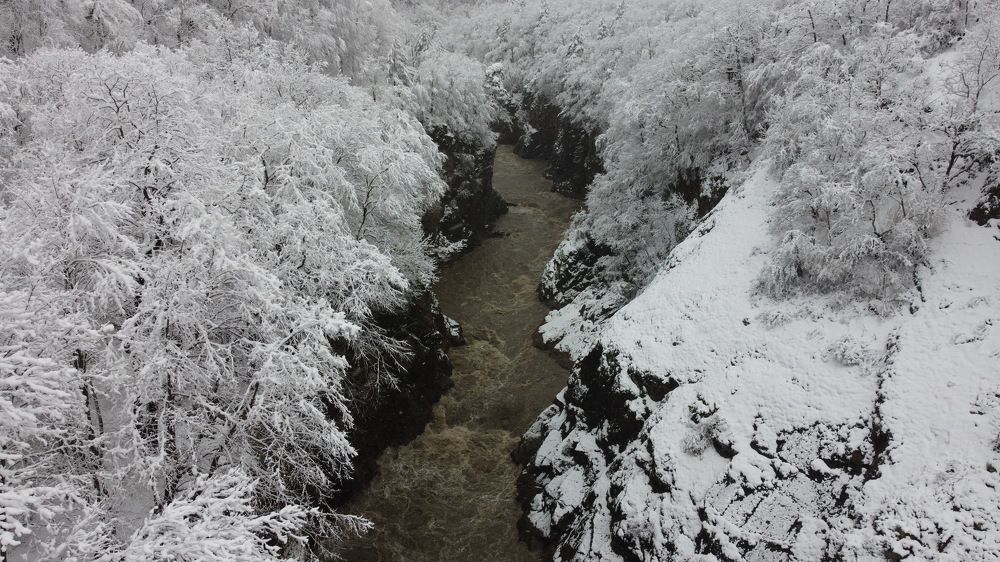 Photograph by Татьяна Шелудяк