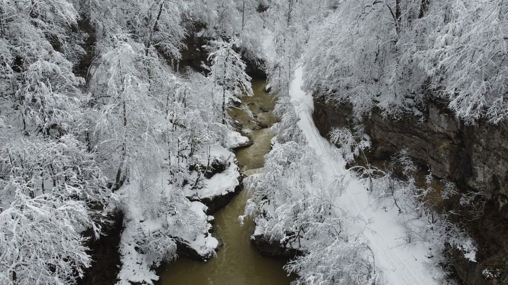 Photograph by Татьяна Шелудяк