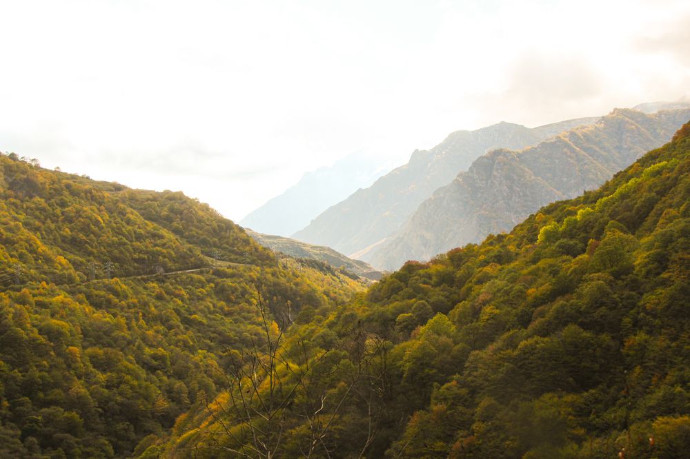 Photograph by Татьяна Шелудяк