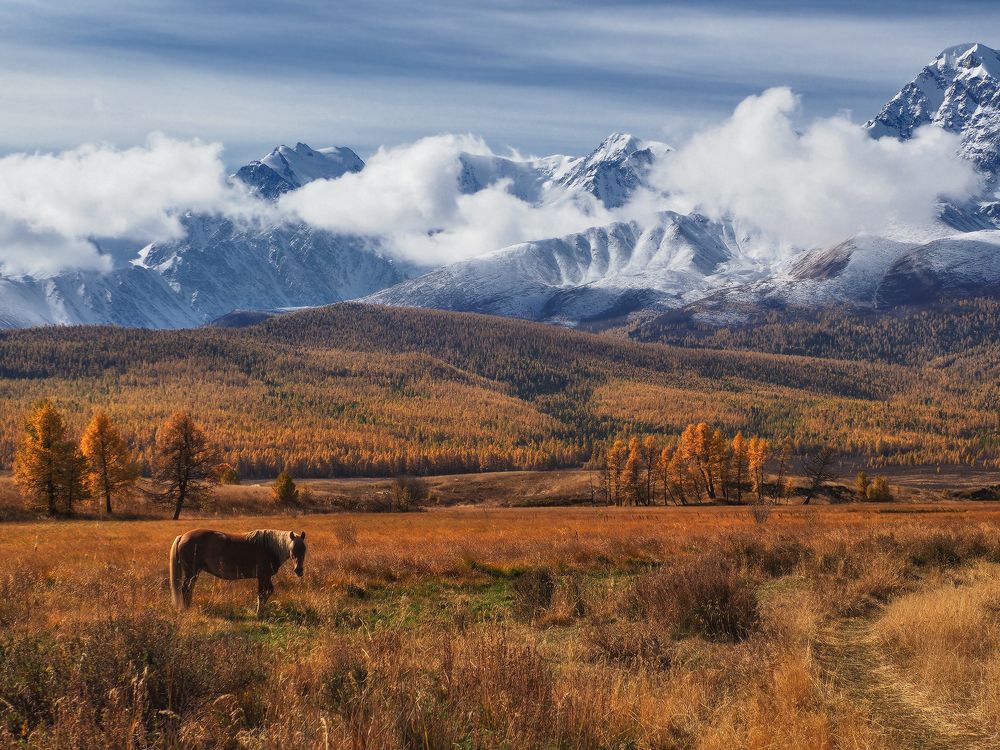Photograph by Галина Хвостенко