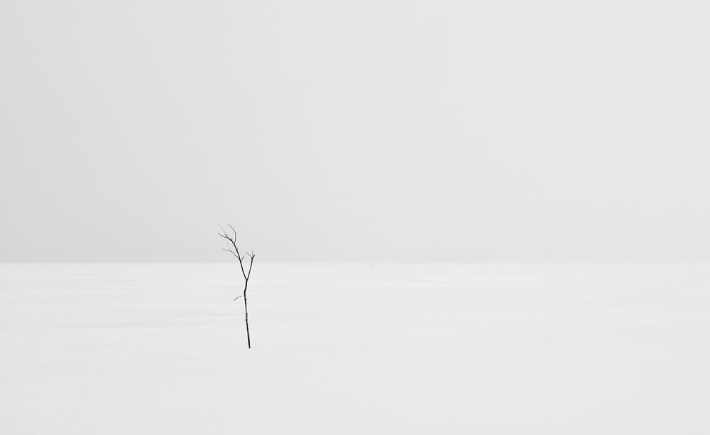 Photograph by Екатерина Степанова