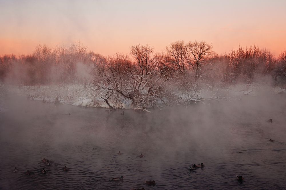 Photograph by Наталья Танака