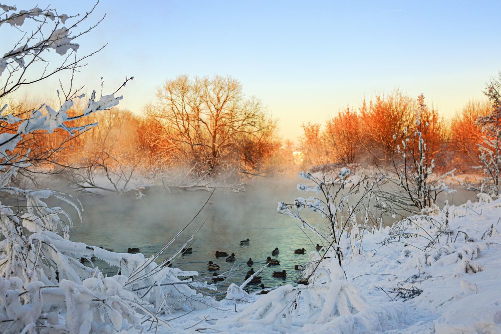 Photograph by Наталья Танака