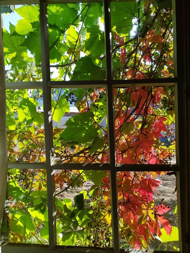 Фотография автора Екатерина Соловьева