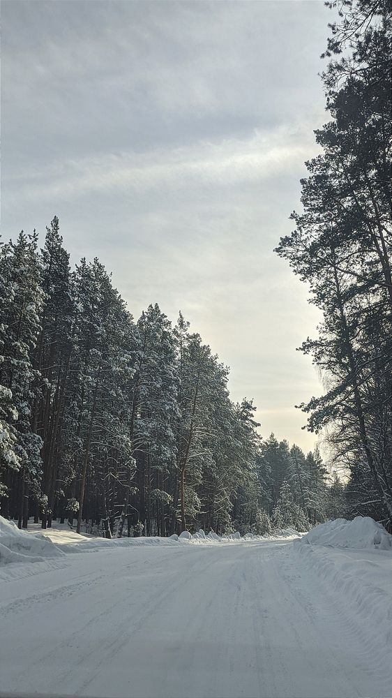 Фотография автора Васильева Ирина