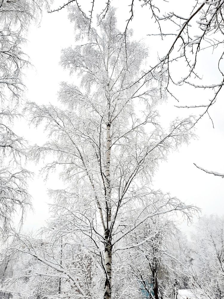 Photograph by Ольга