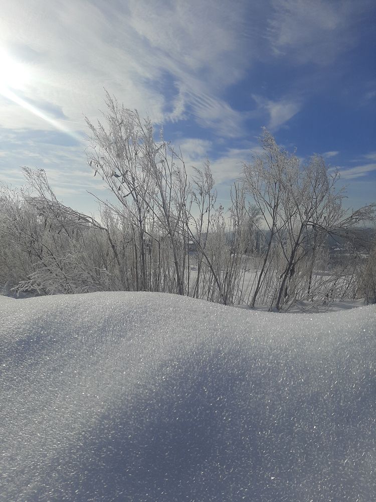 Photograph by Курчина Вероника