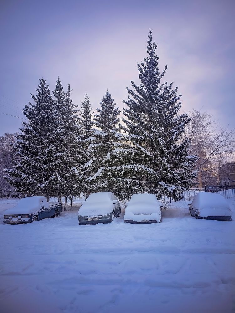 Photograph by Олега Тор