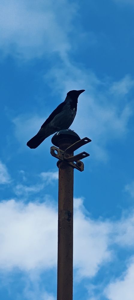 Photograph by Binyamin Waldayes