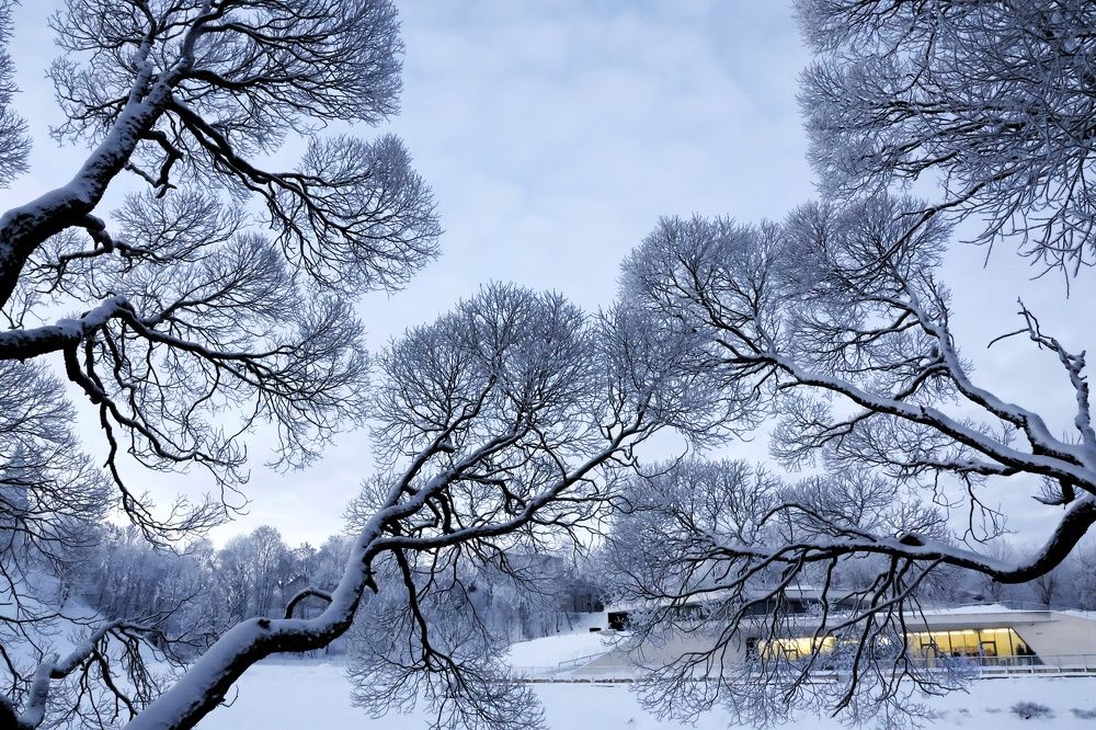 Photograph by Olga Asson