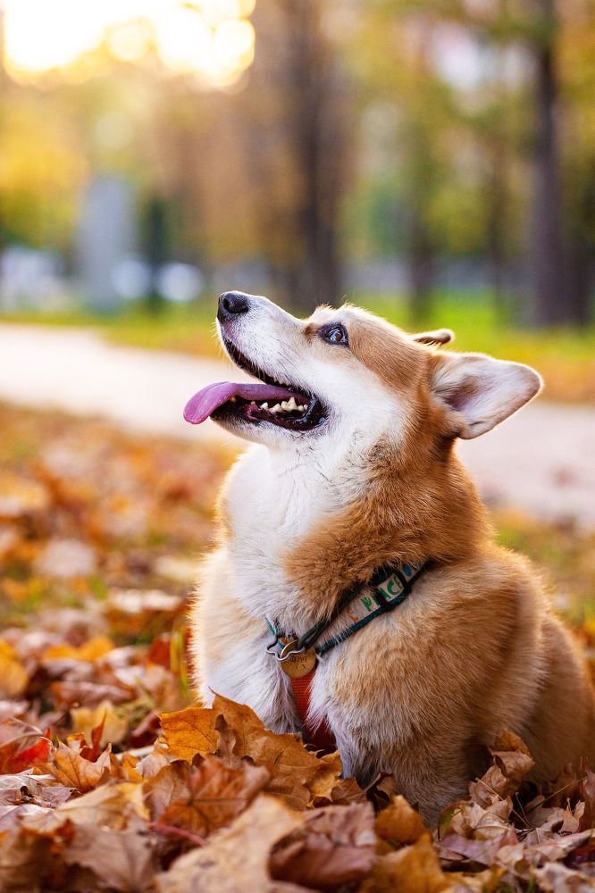 Photograph by Анна Полушина