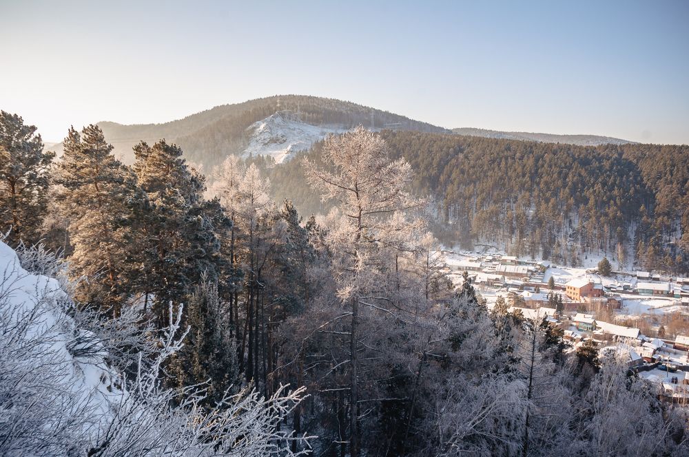 Snowy mountain forest