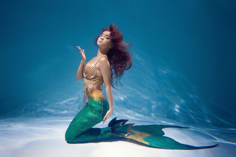 Фотография автора Анисимова Наталия