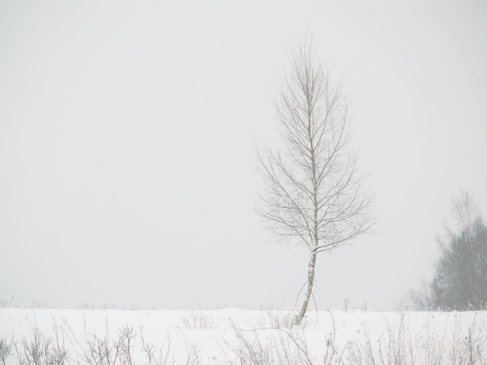 Photograph by Василий