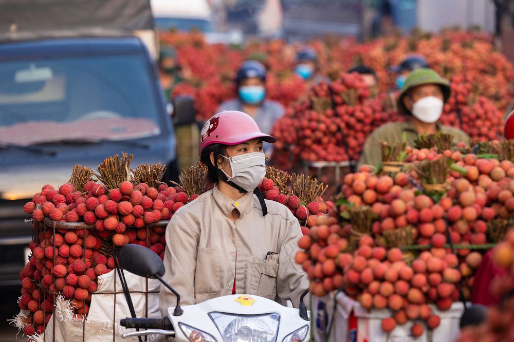 Фотография автора NGUYEN XUAN BAC