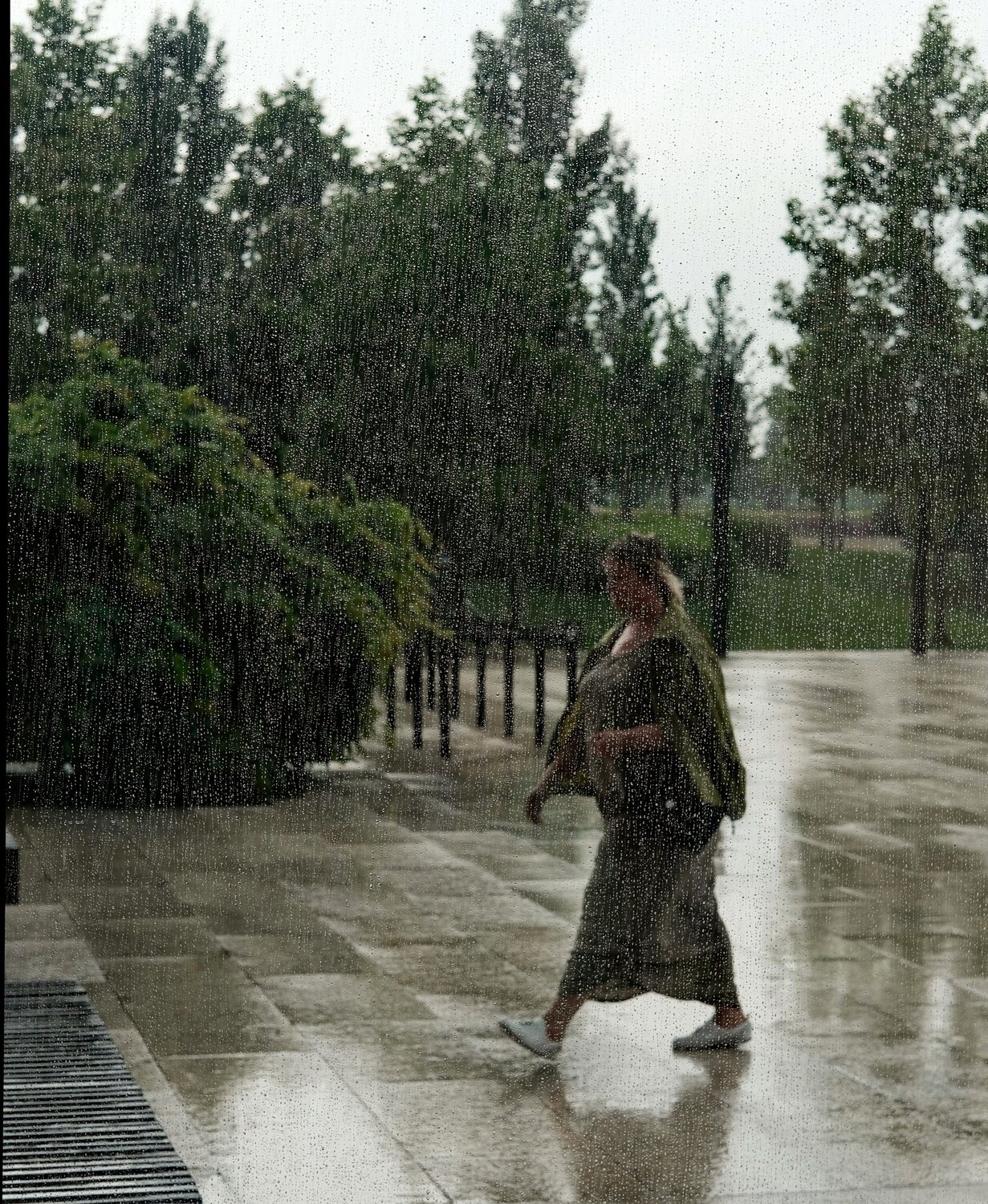 Photo #10098649