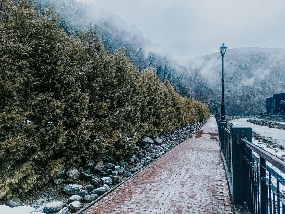 Фотография автора OXANA MARSOVA