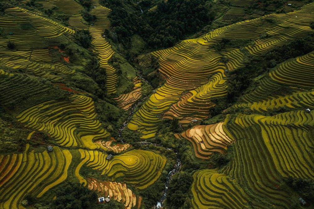 Photograph by Do Thi Thanh Binh