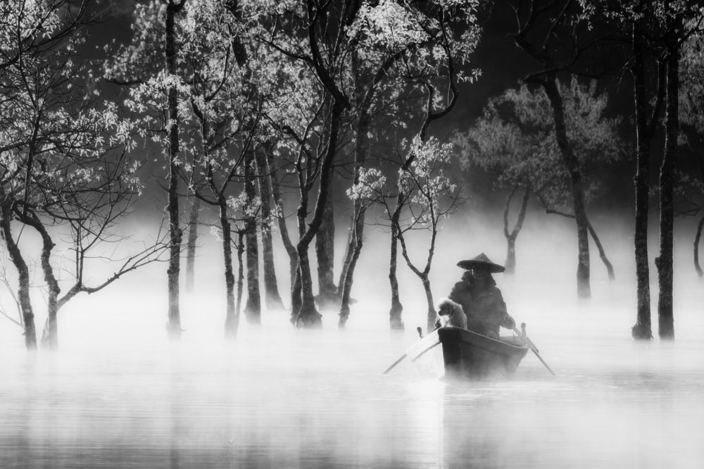 The warmth of the sunlight