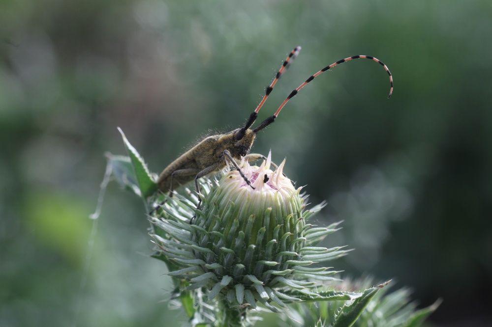 Photograph by Марина Савченко