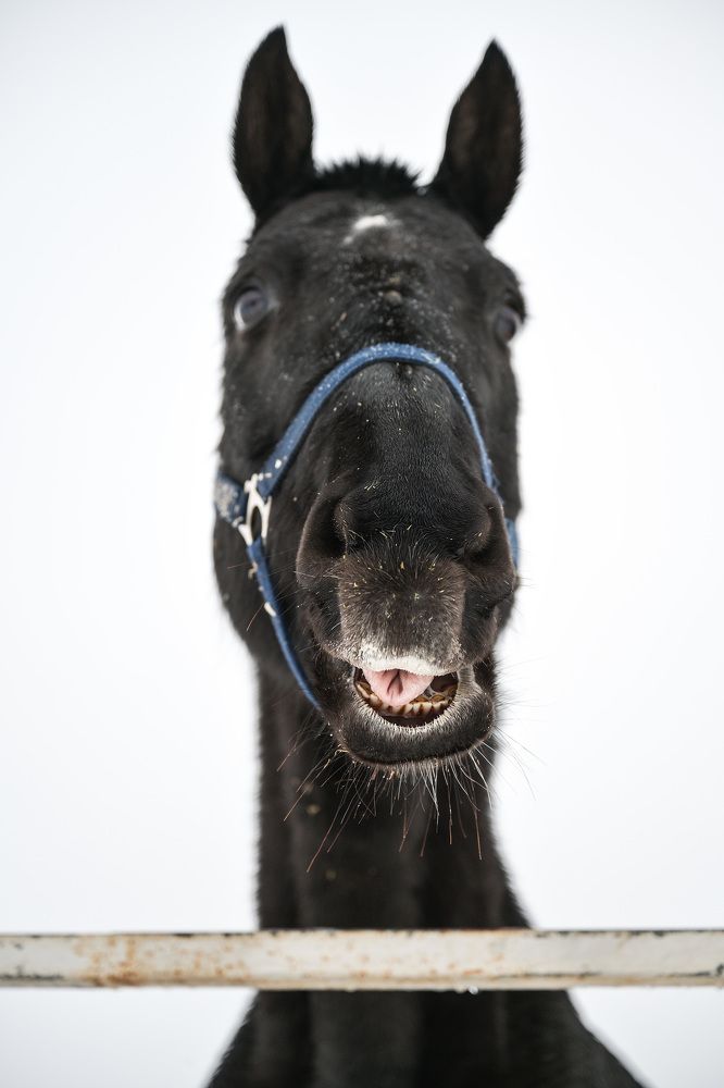 Photograph by Елена Ермакова